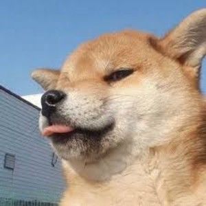 Meet your Posher, Kasandra